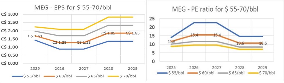 MEG - profit.jpg